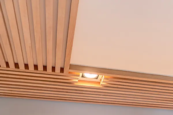Luz